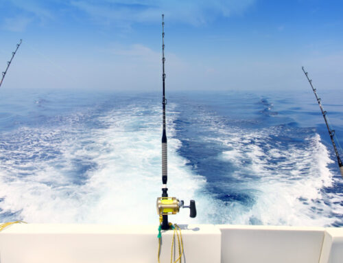 Which is Better – Offshore Fishing Charters or Inshore?
